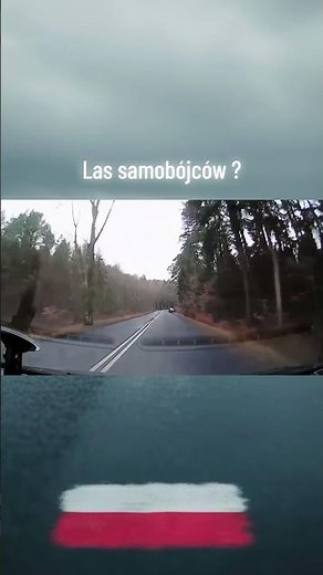 Auto w rowie, drugie wbite w las… co tu się wydarzyło?! 🌲💥 #polscykierowcy #wypadek