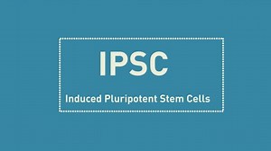 The European Bank for Induced Pluripotent Stem Cells