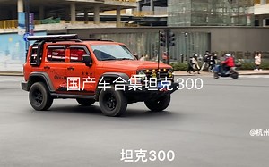 国产车合集坦克300