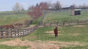 14K views · 381 reactions | It's finally here! Welcome to Monday...