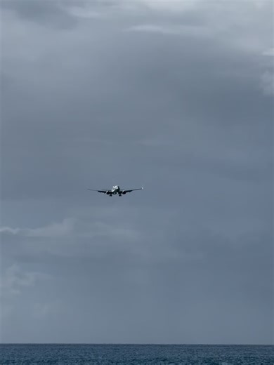 20 reactions | Baron Pilot on Reels | Facebook