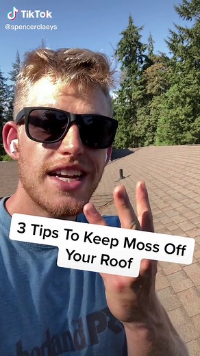 Prevent Moss Growth on Your Roof: Top 3 Maintenance Tips