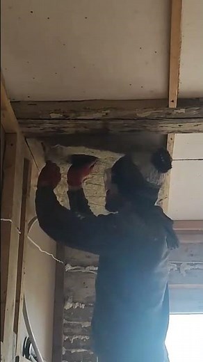 How to insulate ceilings with mineral rock wool #diy #renovation #ceiling #rockwool