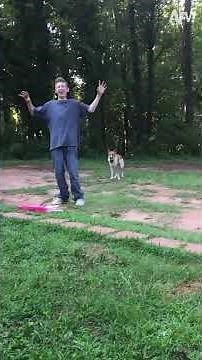 Science Experiments Gone Wrong