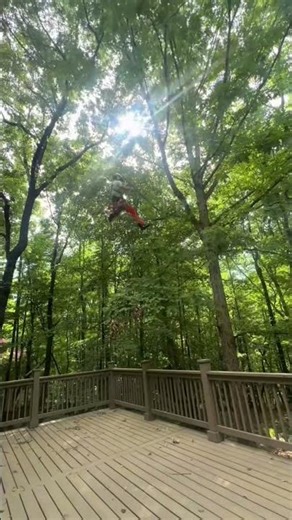 Spotless climbing SRT light reduction pruning #treeclimber #srt