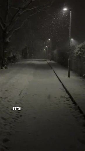 Mensch aus lüd (@system_error.7)’s videos with original sound - SONDOO