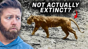 5 Extinct Animals That I Believe Could Still Be Alive... | Forrest Galante