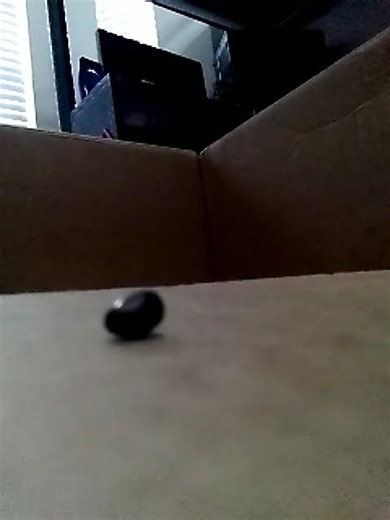 #crazilyfunny #funny #cook #explosion #explode #cool #funny #mairrageproposals #memes #humor #cars