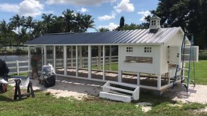 1.3K views · 124 reactions | Carolina Coops on Reels | Facebook