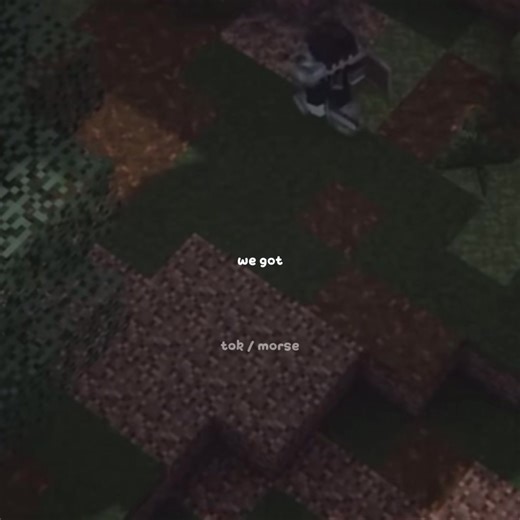 Vampire SMP: A Vampire's Perspective