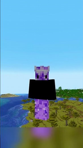 Invisible Skin in Minecraft