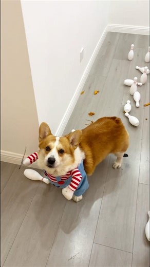 WHAT WOULD YOU DO 😱 #shorts