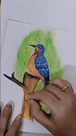 Easy Bird Art with Oil Pastels | Beginner-Friendly Drawing