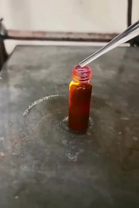 La chimiluminescence ✨ est un phénomène captivant où la lumière naît d'une simple réaction chimique, sans chaleur. Lorsqu’un agent oxydant, comme le peroxyde d’hydrogène, rencontre un colorant fluorescent, une énergie est libérée sous forme de lumière pure. Ce "rayonnement froid" peut prendre différentes teintes, selon le colorant utilisé, offrant un spectacle presque irréel. On retrouve cette magie dans la nature, avec le scintillement des lucioles ou la lumière des créatures marines abyssales.