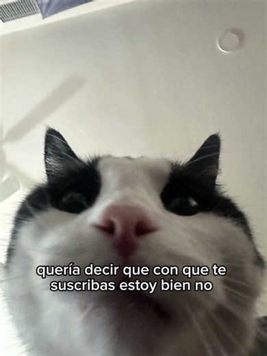 Mi nuevo canal #minecraft #Create #mojang #minecraftjava #createmod