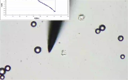 精密力学测试仪（MicroTouch）应用：微颗粒操纵