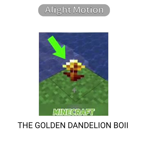 First Alight Motion Animation Tutorial