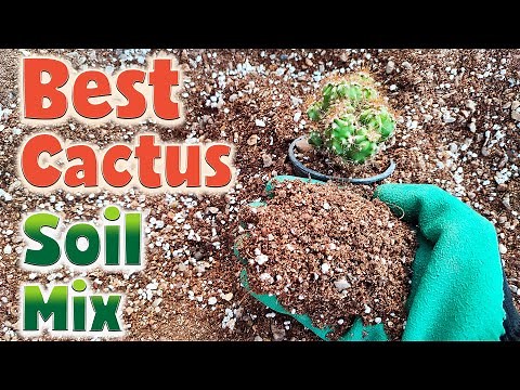 Crafting the Ultimate Cactus Soil Mix | Secrets to Thriving Desert Beauties!