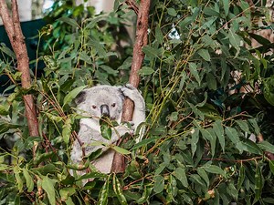 The perfect Sydney to Byron Bay road trip itinerary – Finding Alexx