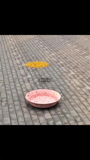 How traditional soy sauce is made in 18 months