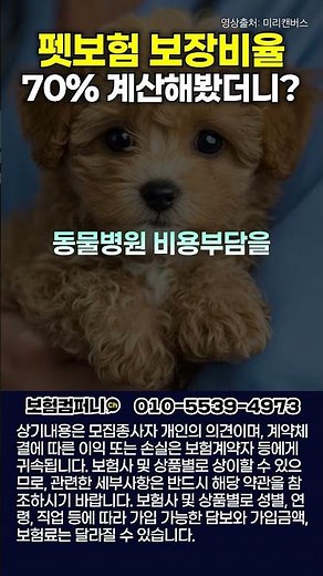 펫보험 청구시 보장금액 계산방법!