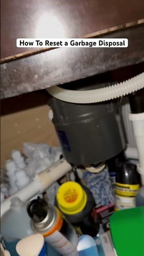 How To Reset a Garbage Disposal #tips #shorts