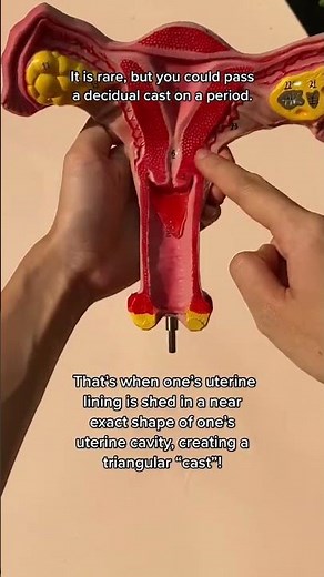 Shedding all your uterine lining at one go?