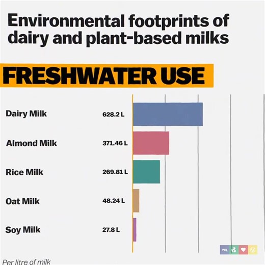 68K views · 2.2K reactions | It's clear that no matter what plant-based milk you choose, it's better than dairy when it comes to the environment. | Plant Based News | Facebook