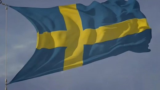 Understanding Sweden's Military: Facts and Insights