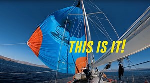 17K views · 558 reactions | In our route to Los Islotes, one of the...