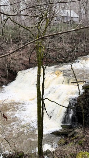 February 2024 Rutledge Falls in Manchester, Tennessee The falls were heavily flooded after lots of recent rainfall. The falls were so loud, but I’m adding a more relaxing water sound to this video. ☺️ #water #relax #fyp #asmrsounds #waterfall