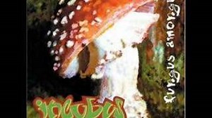 THE ANSWER Lyrics - INCUBUS | eLyrics.net