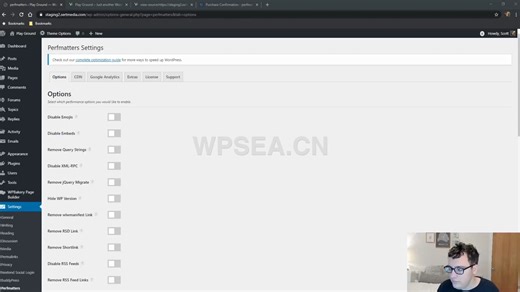 wordpress性能优化Perfmatters插件配置教程