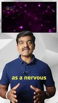 Profibus Protocol Explained for Industrial Automation