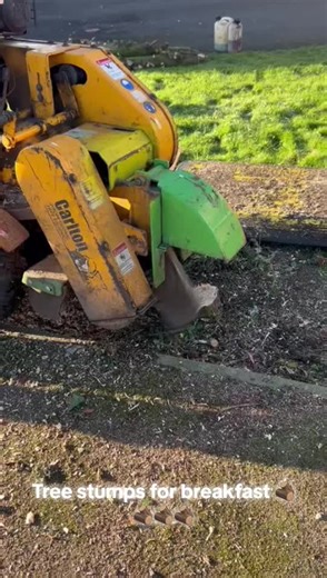 #JWDtreesurgery #treeworker #treesurgeon #ribblevalley #arborist #chipper #timberwolf #arboriculture #gardnening ###troughofbowland #firewood