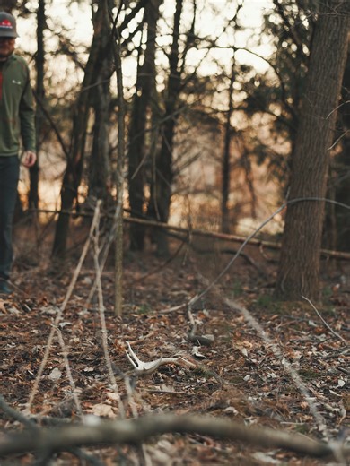 Tips for successful shed hunting: ✅ Look near feeding & bedding areas ✅ Scan south-facing slopes & creek crossings ✅ Go slow—antlers blend in! ✅ Bring a good pair of binoculars & a backpack Who else is out searching for sheds? Drop a pic of your best find below! #shedhunting #bowhunting #beararchery