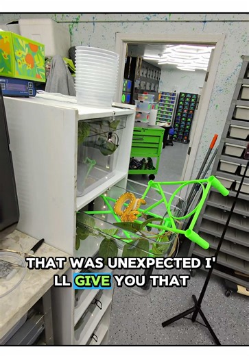 Enjoy a full minute of me almost getting but when moving my green tree into her bigger enclosure! #funny #bite #reptile