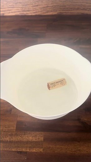 Cork Buoyancy Experiment