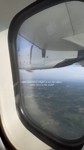 17K views · 25 reactions | "A magical morning in Colombia’s coffee...