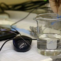 Video: Right Ventricular Systolic Pressure Measurements in Combination with Harvest of Lung and Immune Tissue Samples in Mice