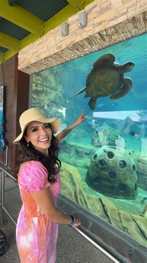 ULTIMATE DAY AT SEAWORLD TEXAS From heart-racing coasters to penguin waddles and dolphin splashes, seaworldtexas is the ultimate adventure! 🎢🐧🐬 Enjoy a full day of rides, shows, and ocean fun that’s perfect for family trips, weekend getaways, or your Texas bucket list! 📍 San Antonio, TX The all-new 2026 Annual Pass gives you UNLIMITED visits and unbeatable value all year long! . . . . #texas #texastodo #sanantonio #sanantoniotx #thingstodo | SeaWorld San Antonio