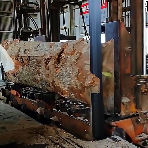 46K views · 315 reactions | At the sawmill, a huge white oak log is carefully cut into sturdy boards. Each slice reveals the natural strength and beautiful grain of the oak, perfect for high-quality furniture and construction use. | Herox7 | Facebook
