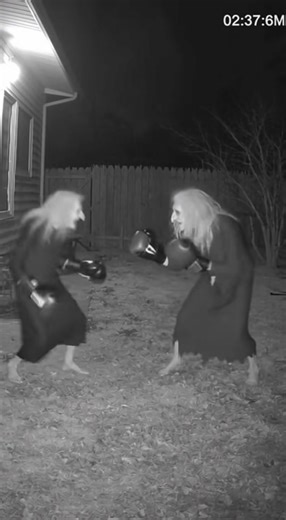 377K views · 11K reactions | 壘壘壘壘 #horror #scary #ai #funny #halloween | Phoenix ASMR | Facebook