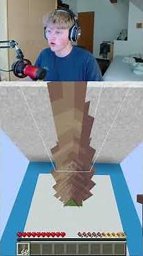 Wahrheit oder Lüge Pt. 12 #minecraft #gaming #shorts