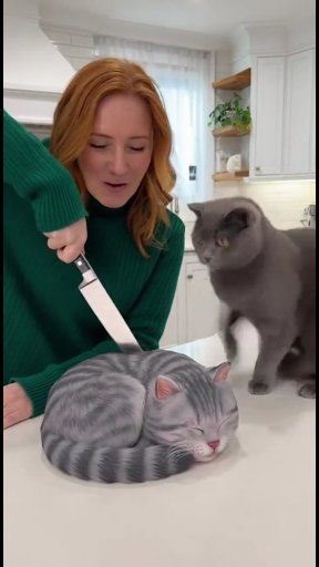 7K views · 31 reactions | Big dolyfly cake cutting prank #animalprank #PetReaction #cake #Funnypets #birdReaction#watchingreel#viralreel#trendingvideo#usatrendingreel#followingone#dailyreel#viraltrend | Laraibmalikofficial69 | Facebook