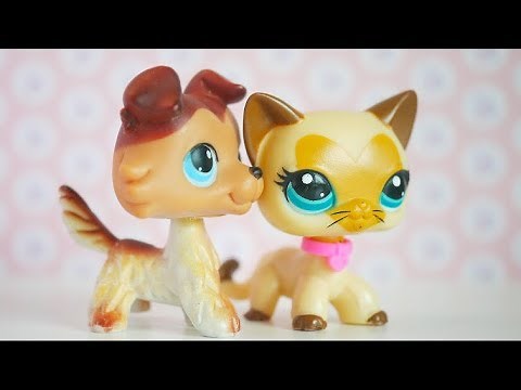 Lps (Series) : Don't Love Me. | Ep. 1