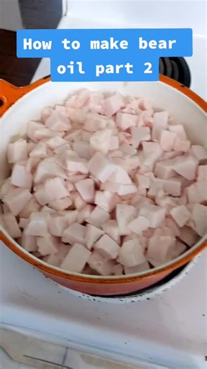 How to Make Bear Oil: Step-by-Step Guide for Hunters