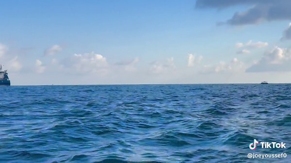 Cargo Ship in Ocean: A Stunning Maritime Scene