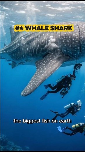 Top 5 Largest Animals Ever Discovered 🌍