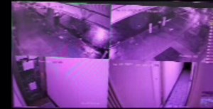 Exclusive video shows alleged perp follow murder victim into building